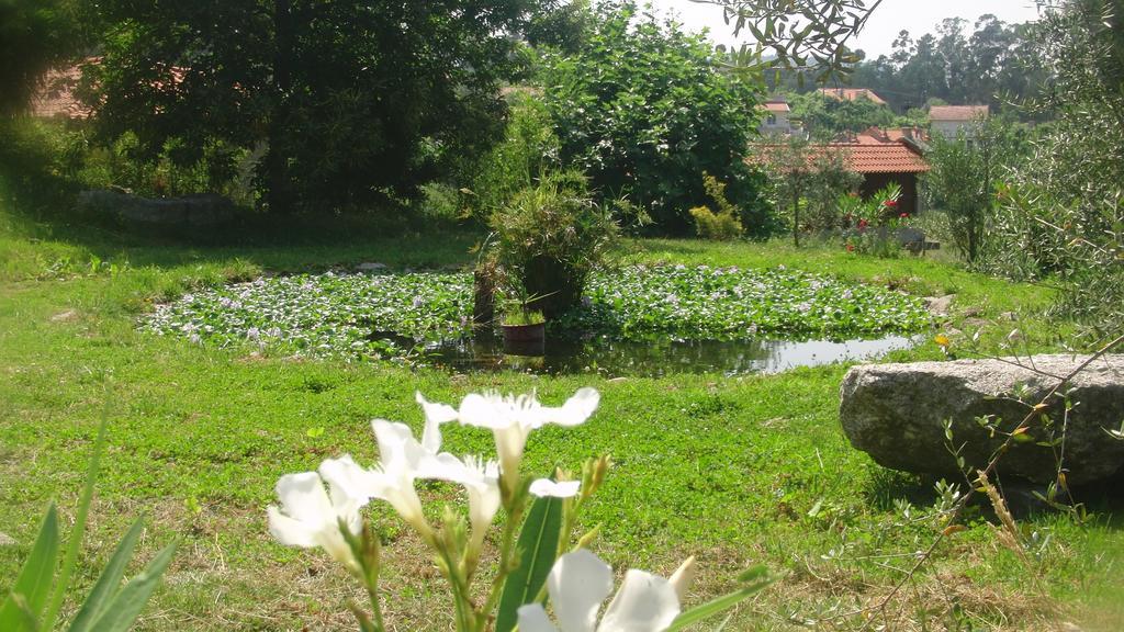 Villa Quinta Do Riacho Póvoa de Lanhoso Exterior foto